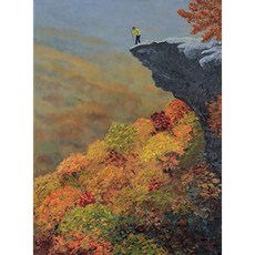 독수리 선반 버팔로 국립 강, 본상품, 본상품
