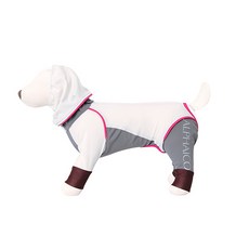 알파아이콘레인독가드