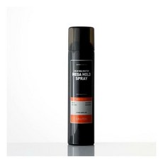 브리티시엠스프레이