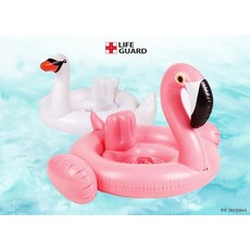 돌고래보행기튜브