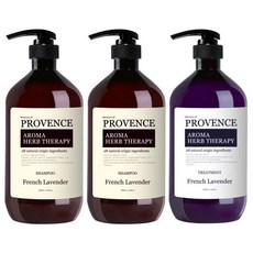프로방스 라벤더 천연 샴푸2개+라벤더 트리트먼트1개 1000ml + 1000ml + 1000ml, 1개