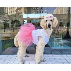 왕큰댕 대형견 중형견 핑크 발레리나 원피스, 1개