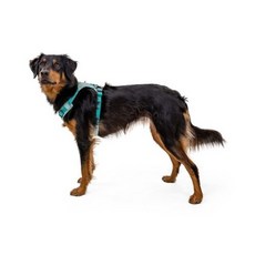러프웨어(RUFFWEAR) 하이 앤 라이트 경량 하네스(Hi & Light Harness 2024SS), 살몬 핑크, 1개