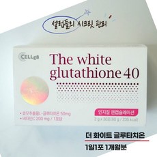 더 화이트 글루타치온 40 셀럽 시크릿 관리 1일1포 1박스 1개월분, 60g, 1개