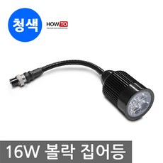 달초롱