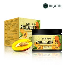 필네이처 20배 고농축 와일드망고 씨앗 추출분말 가루, 100g, 1개