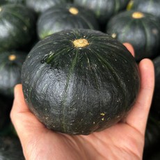 미식가이드 제주 미니 밤호박, 세척 못난이, 1개, 2.5kg