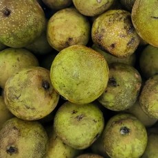 22년산피도라지가격무침용