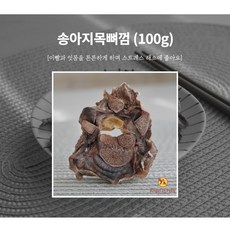 부산반려동물초상화수업