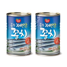 꽁치통조림조림