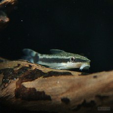 b7d01c3ae0529461847dce2676c2eddac5a07cbc87c7e27312993550c25c.jpg