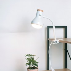 퓨쳐그린식물등