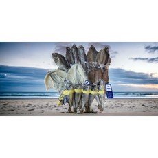 [우리바다수산 실속 선물패키지] 명절선물세트 여수반건조생선 제수용생선, 1개