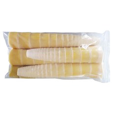 산지직송-죽순(분죽 삶은죽순 냉동)-500g-1개-생죽순-죽순나물-자연이 살아숨쉬는곳 .그자연이 머금은 제품들 지리산청학동-청학고을, 1세트, 500g