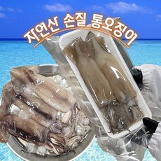 자연산 손질 통오징어 270G(2마리) 진공포장 냉동진공포장 수량별 제철오징어, 5팩, 270g*1팩(2미)