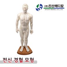 전신 경혈 모형 51cm(소) 전신모형 동인형, 1개, 51cm(소형)