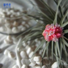bb90711b8e5b85ecee770ea1ed271837d2a7d09bb8b45a19d3334e5e92db.jpg