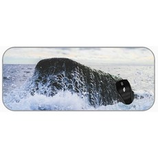 바다마우스패드