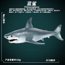 청상아리