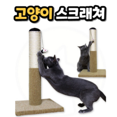 깔끔대장가려보게