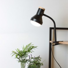 퓨쳐그린식물등