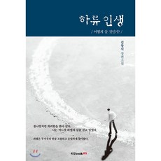 김창식경매