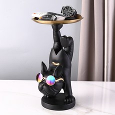 가니티쳐