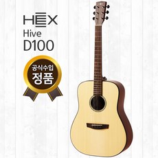 헥스 D100 헥스 기타 추천 입문기타 입문추천기타