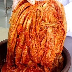 26년 전통 100일 숙성 묵은지 10kg, 단품