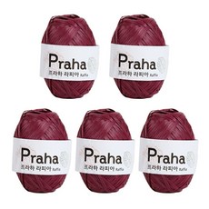 프라하라피아실