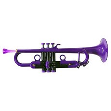 PLAYTECH (플레이텍) ABS 수지제 PTTR100PR 플라스틱 트럼펫 퍼플, 1개