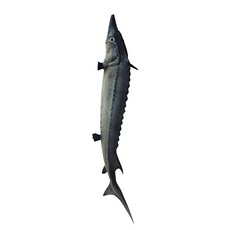 8b7ba066c81877858f8b589c324bf0a9582b3f28bf463b4a8a04b0ee55fc.jpg