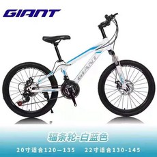 자이언트scr2plus
