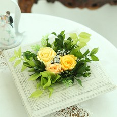 더오픈프로덕트비니