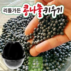 리틀가든콩나물