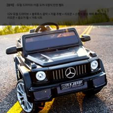 그린전기자동차기사책추천