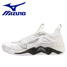 v1ga231251 TOP01