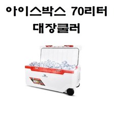 피싱굿즈 NO172 인터맥스 아이스박스 70리터 대장쿨러 낚시 캠핑, 1개