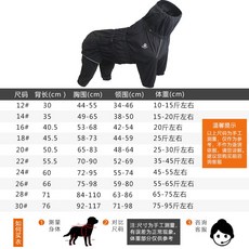 강아지우주선비옷