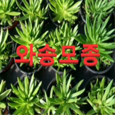 5ad5dcb1dd6b6b68021836674991210781eeab312327f5b39e3909a336f3.png