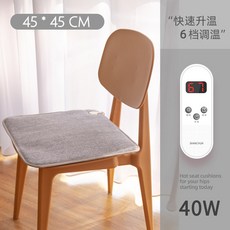 강아지 고양이 전기장판 전기방석 따따방석 미니온열매트, 노르웨이 슬로우