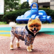브라이플 멍버리 똑딱이 후드자켓 S-2XL 강아지가을 겨울의류 소형견중형견대형견옷 애견옷