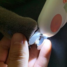 강아지 고양이 LED 조명 발톱깍기 손톱깍기 애견 애묘 손톱깎이 깎기, 블루