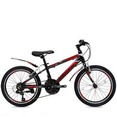 20인치자전거어린이