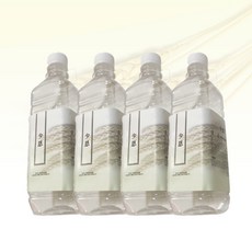 어머니 마음을 담은 달달한 전통 소은 식혜 500ml x 4병, 500ml(4병)