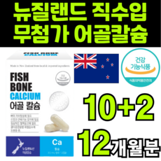 다다랜드플라잉노바