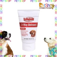 강아지귀염증약