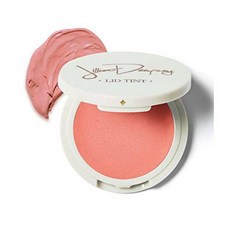 Jillian Dempsey Lid Tint - Sheer Natural Cream Eyeshadow with a Hint, 상세내용참조, 상세내용참조