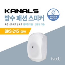 카날스 방수 패션 스피커 BKS-245 100W / BKS-255 160W / BKS-256H 160W / BKS-265 200W, 02. BKS-245 화이트, 02. 낱개 1개