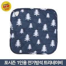 포시즌전기방석